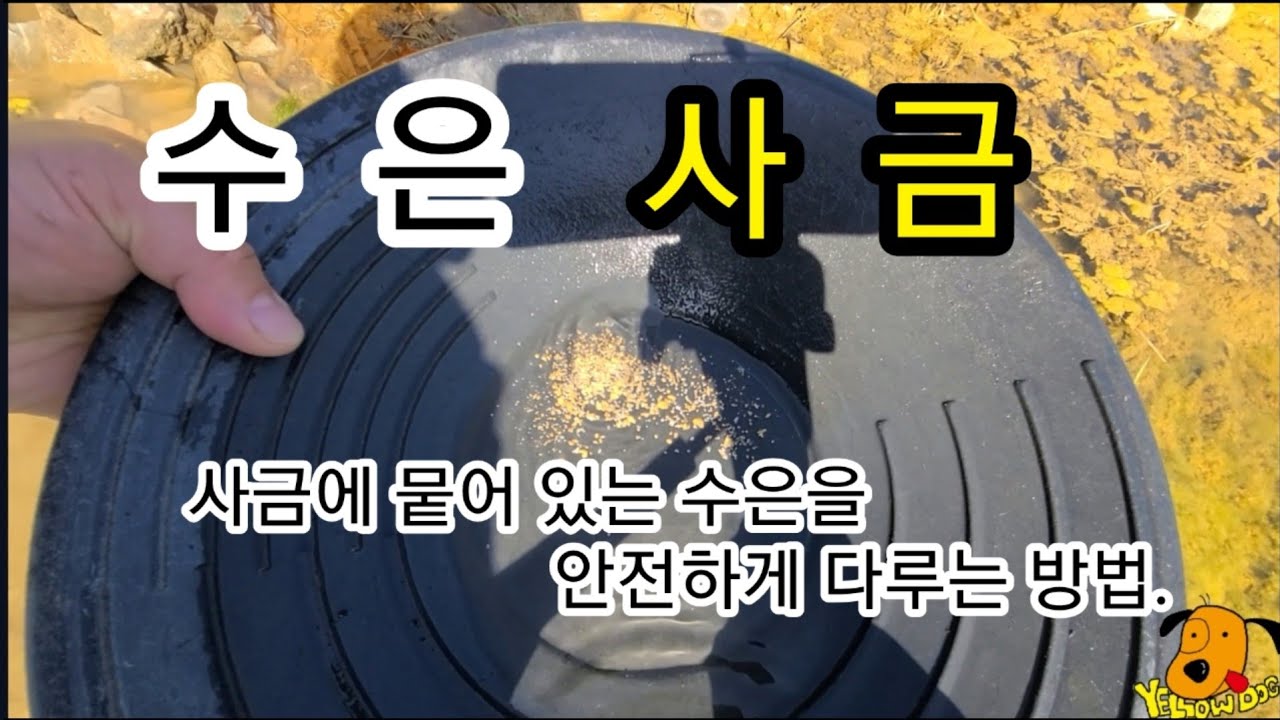 사금에 뭍어 있는 수은을 안전하게 다루는 방법을 알아봅니다.