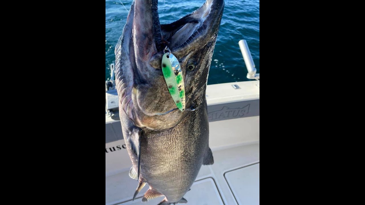 The Must Have Spoons to Catch More Salmon