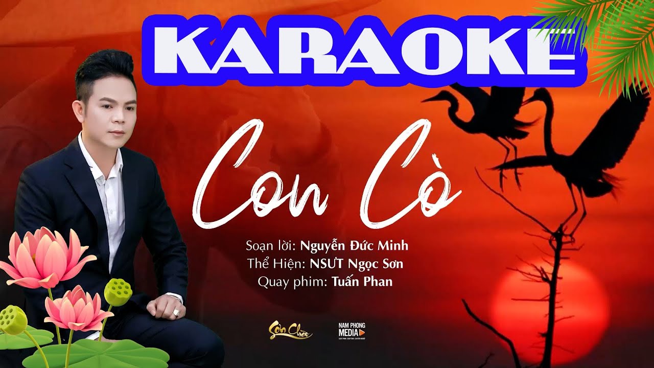 Hát Chèo Karaoke | Con Cò - NSUT Ngọc Sơn