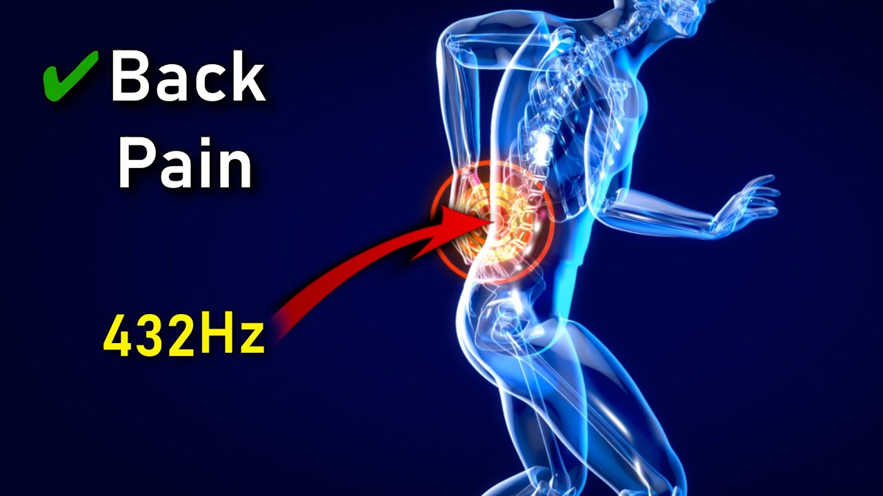 IT'S HERE ❯❯❯ The Back Pain 