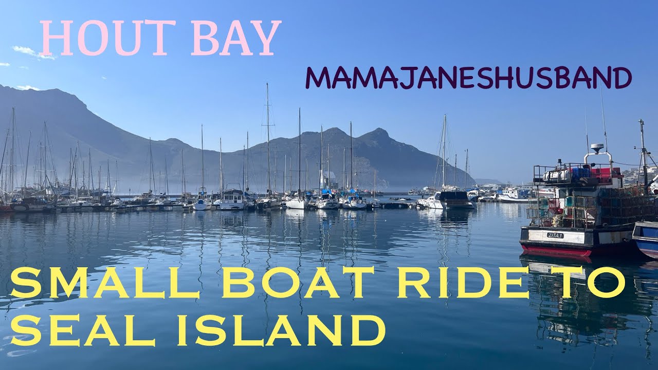 Visiting Seal Island off Hout Bay, Cape Town