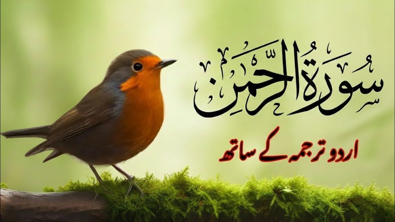 Surah Ar-Rahman with Urdu Tarjuma | Endless Blessings & Spiritual Calm | Sheikh Abdul Basit Samad