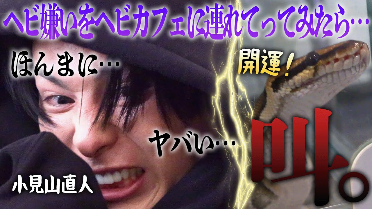 【ドッキリ】なおてぃーに試練…！大のヘビ嫌いをヘビカフェに連れてってみたら阿鼻叫喚のロケになりました・・・＼(^o^)／