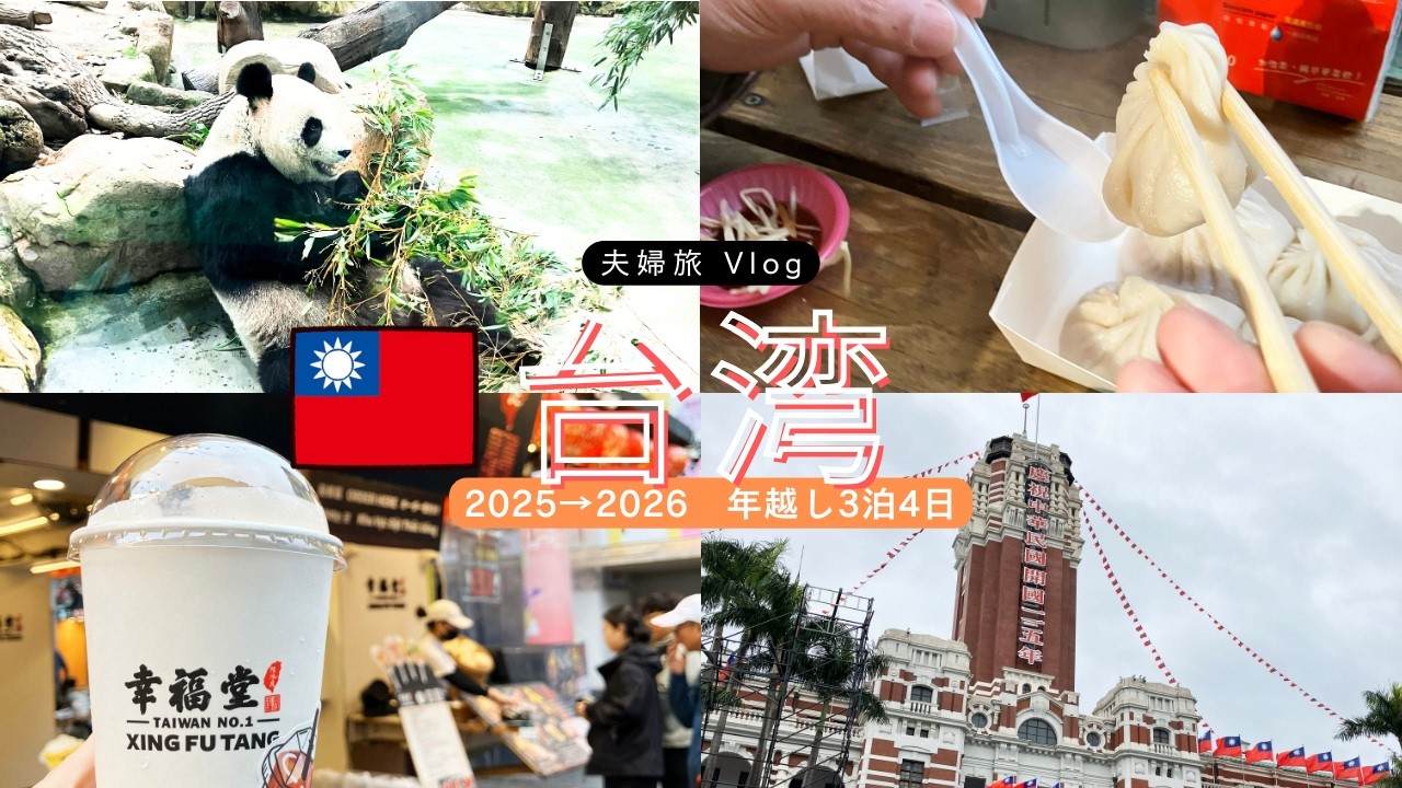 【夫婦Vlog】2025→2026　年越し台湾旅行3泊4日【DAY2その2】象山で101年越し花火観覧