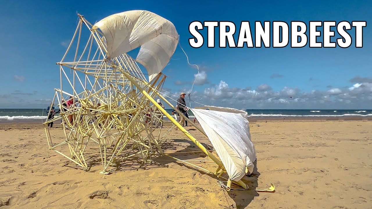 Theo Jansen's Strandbeests: The Kinetic Sculptures That Move on Their Own