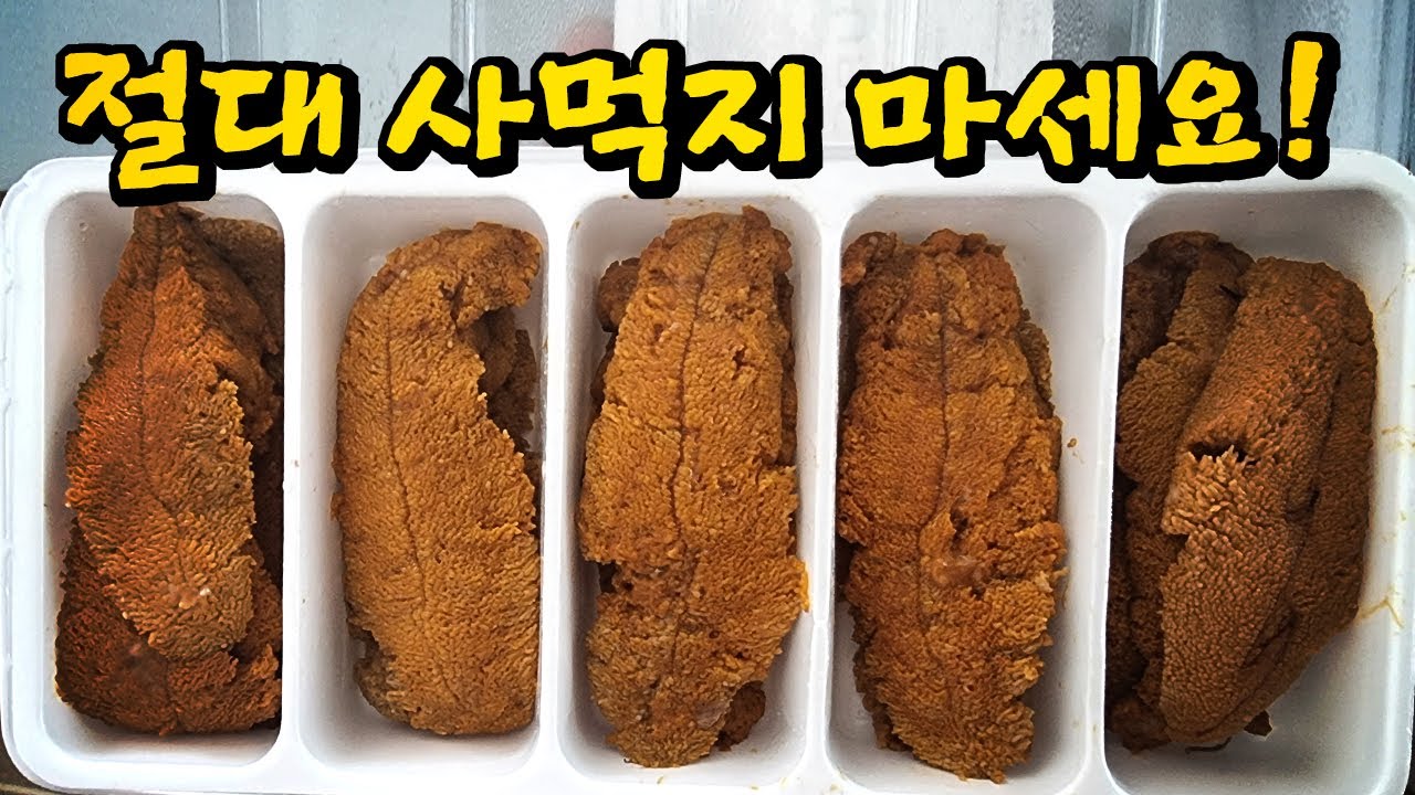 성게는 왜 시궁창 맛이 날까? 천국과 지옥을 오가는 성게 맛의 비밀(김지민의 자산어보 EP.016. 성게 편)
