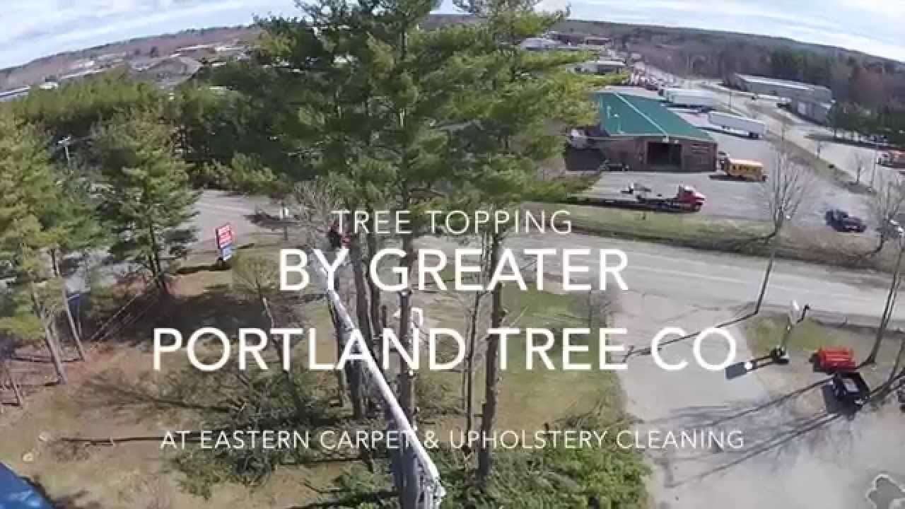 Tree Topping