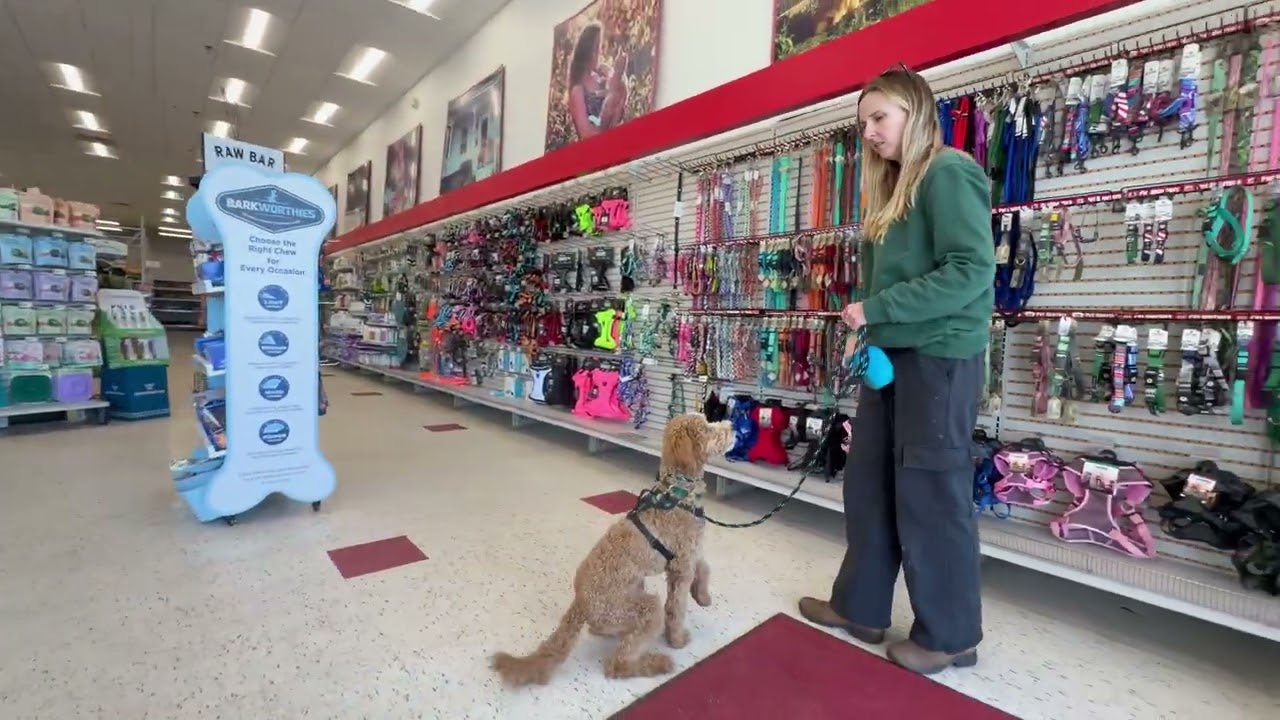Cooper out and about! 