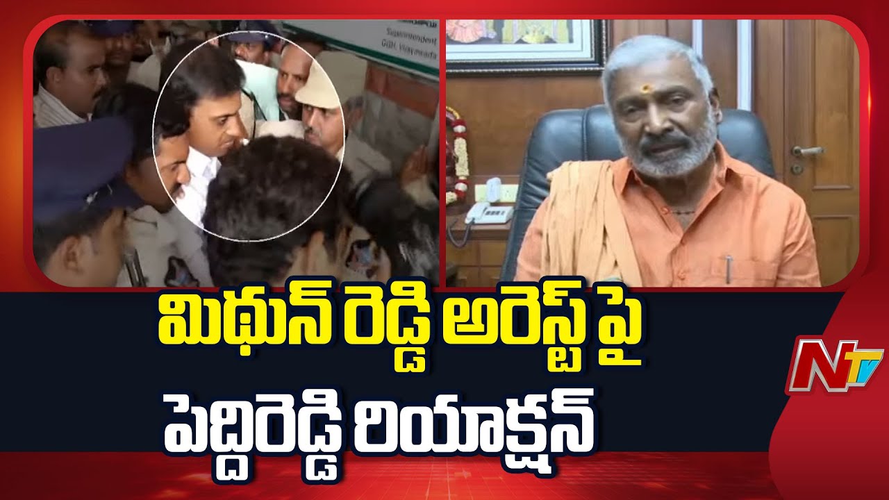 Peddireddy Ramachandra Reddy Reaction on MP Mithun Reddy Arrest | NTV Telugu