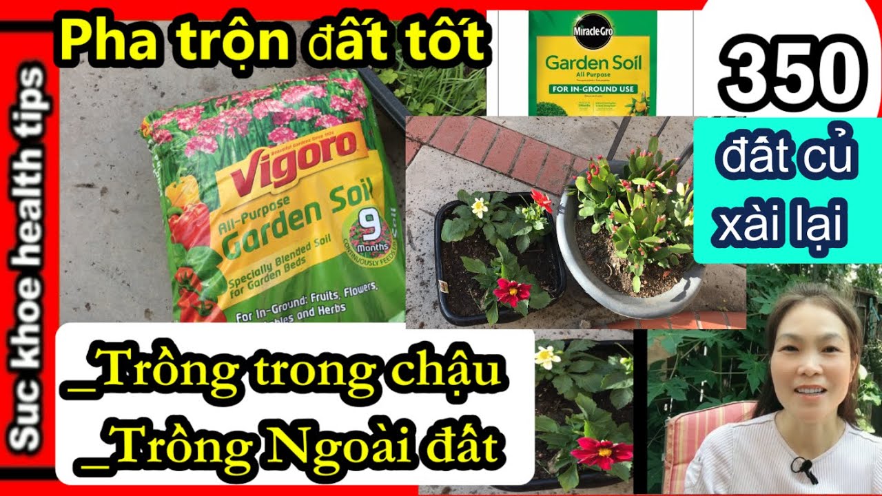 Trộn đất RẺ TIỀN Trồng rau DƯỚI ĐẤT, TRONG CHẬU với GARDEN SOIL, đất củ xài lại, #350