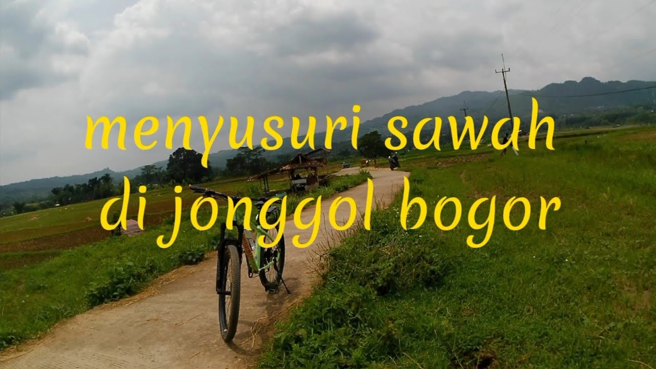 menyusuri sawah di jonggol