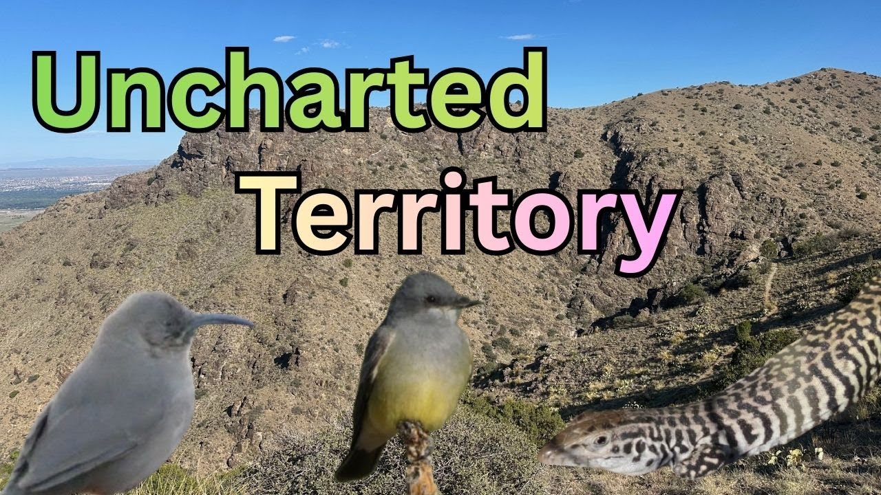 Birding at an Ebird hotspot that I created