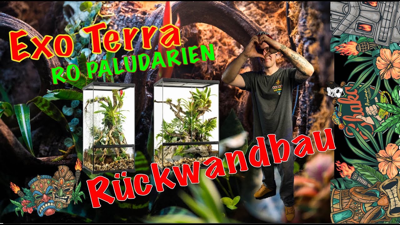 Exo Terra Pro Paludarien DIY Rückwandbau - RÜCKWAND Selber bauen mit Pflanzenkörbe und Kork Teil 1