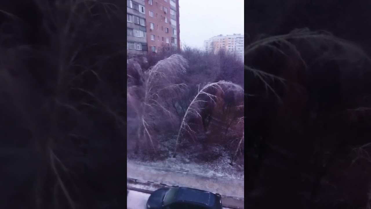 Полтава💙Крижаний Дощ💦Бідні Березки💙СУРОВА ЗИМА 2026❄️ Poltava Ukraine💦 #shots #ukraine #travel