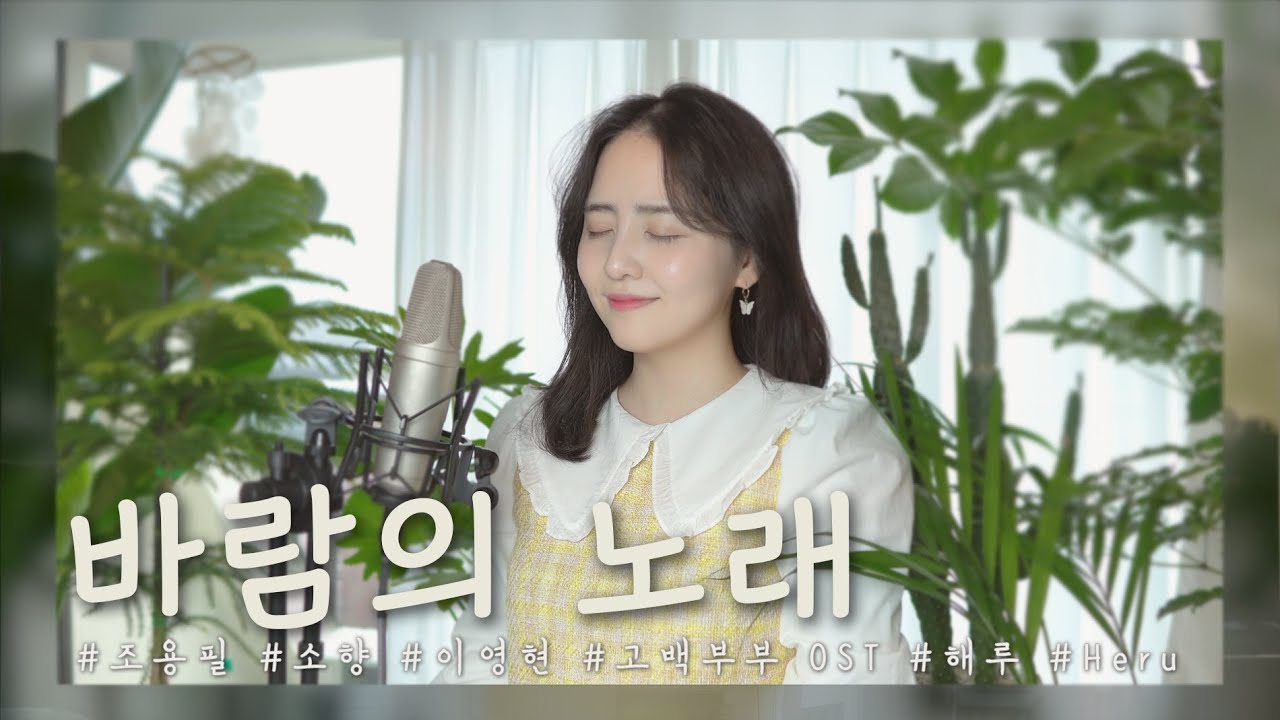 SUB)바람의 노래 - 조용필 (소향, 고백부부OST) /COVER BY 해루 HERU