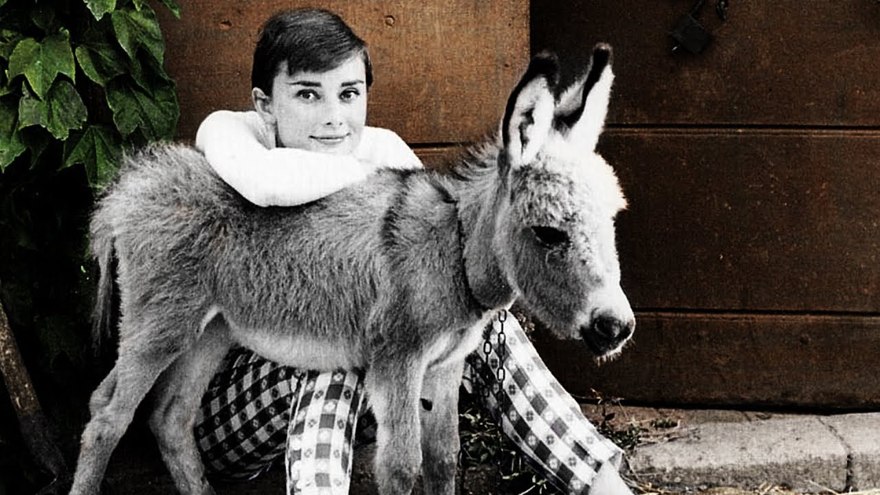 colorizing RARE old photo of AUDREY HEPBURN!