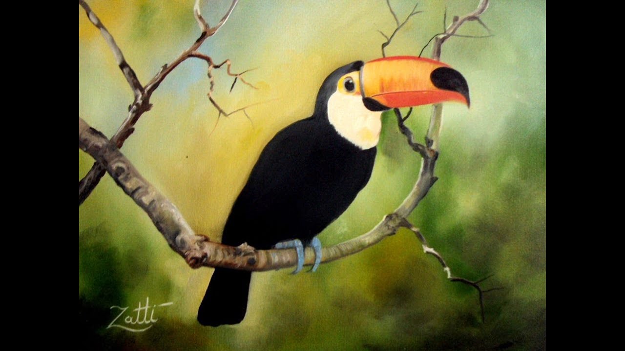 COMO PINTAR UM TUCANO