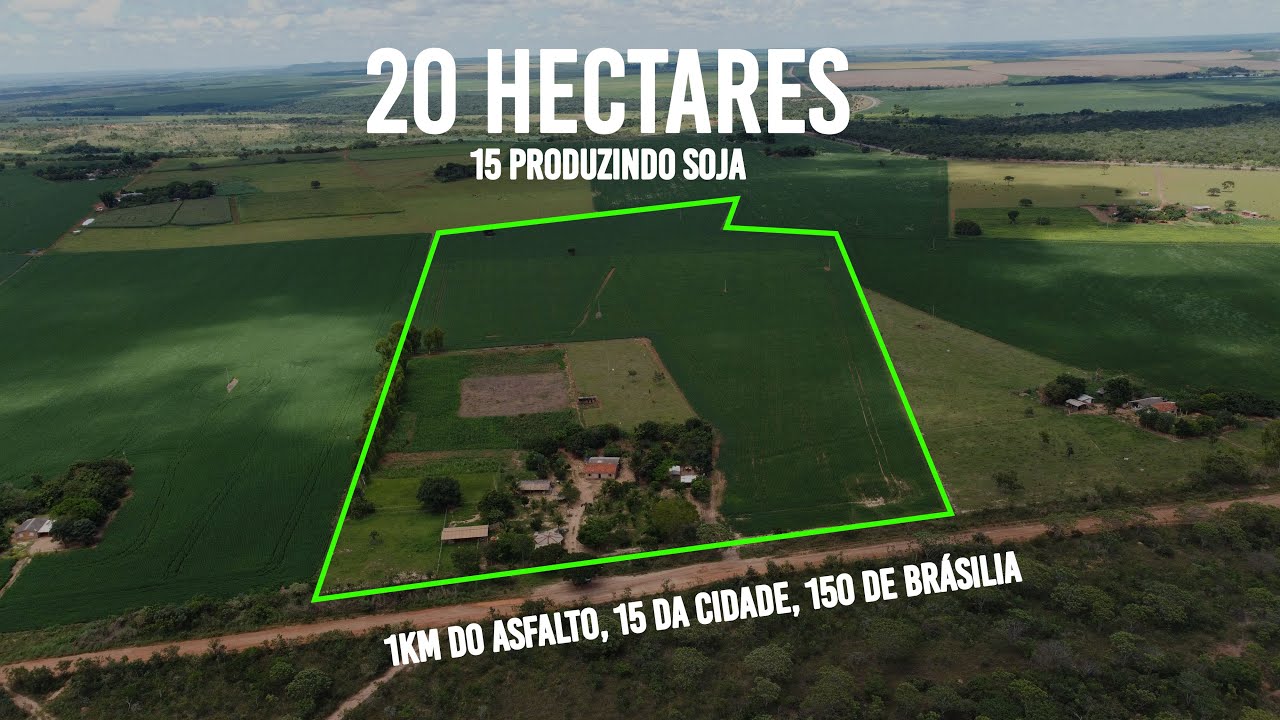 Sitio 20ha, produzindo 15ha soja,1 km do asfalto, 15 da cidade, 150 de Brasília. R$ 1.500.000,00