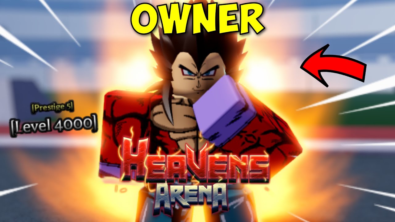 Playing with the OWNER of Heavens Arena