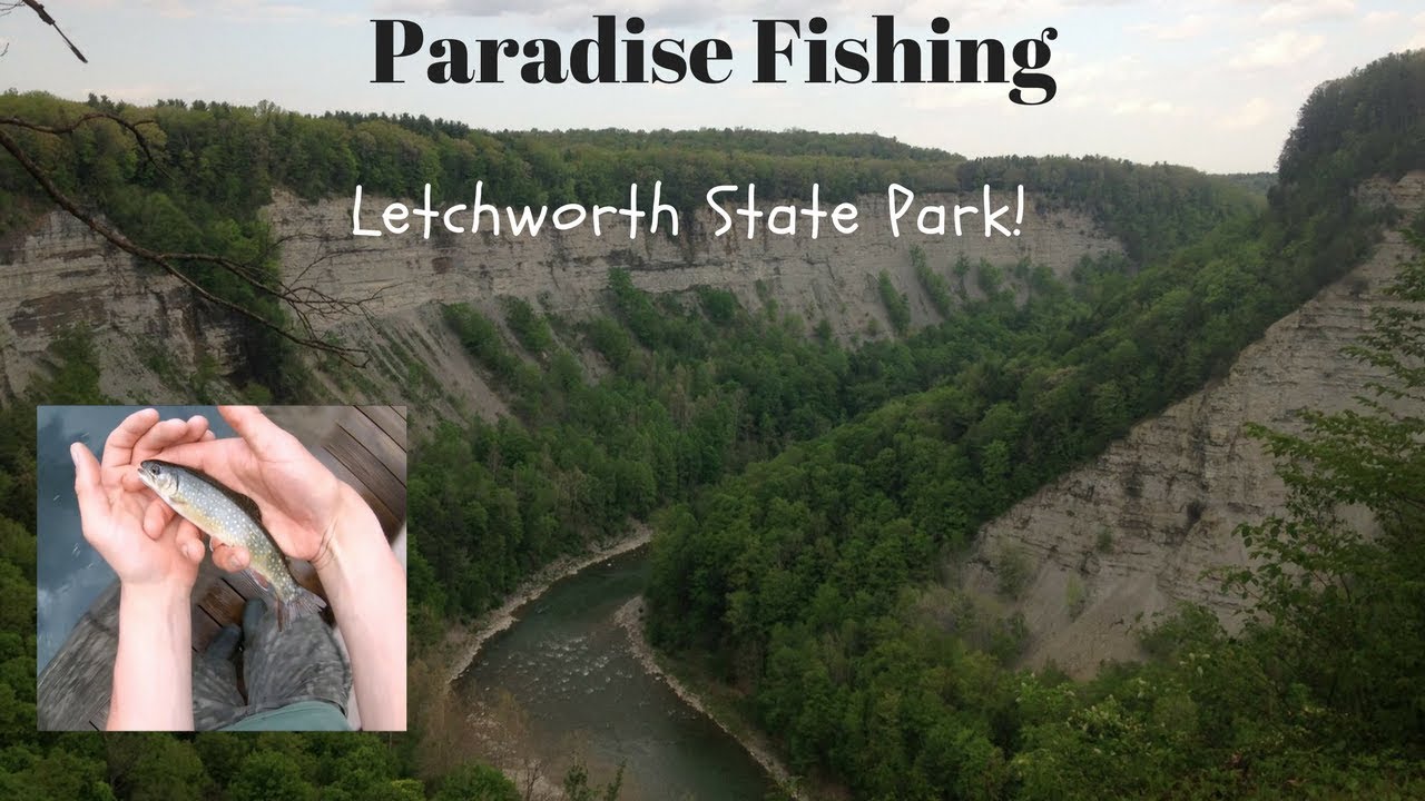 Letchworth State Park Fishing Vlog/Guide!