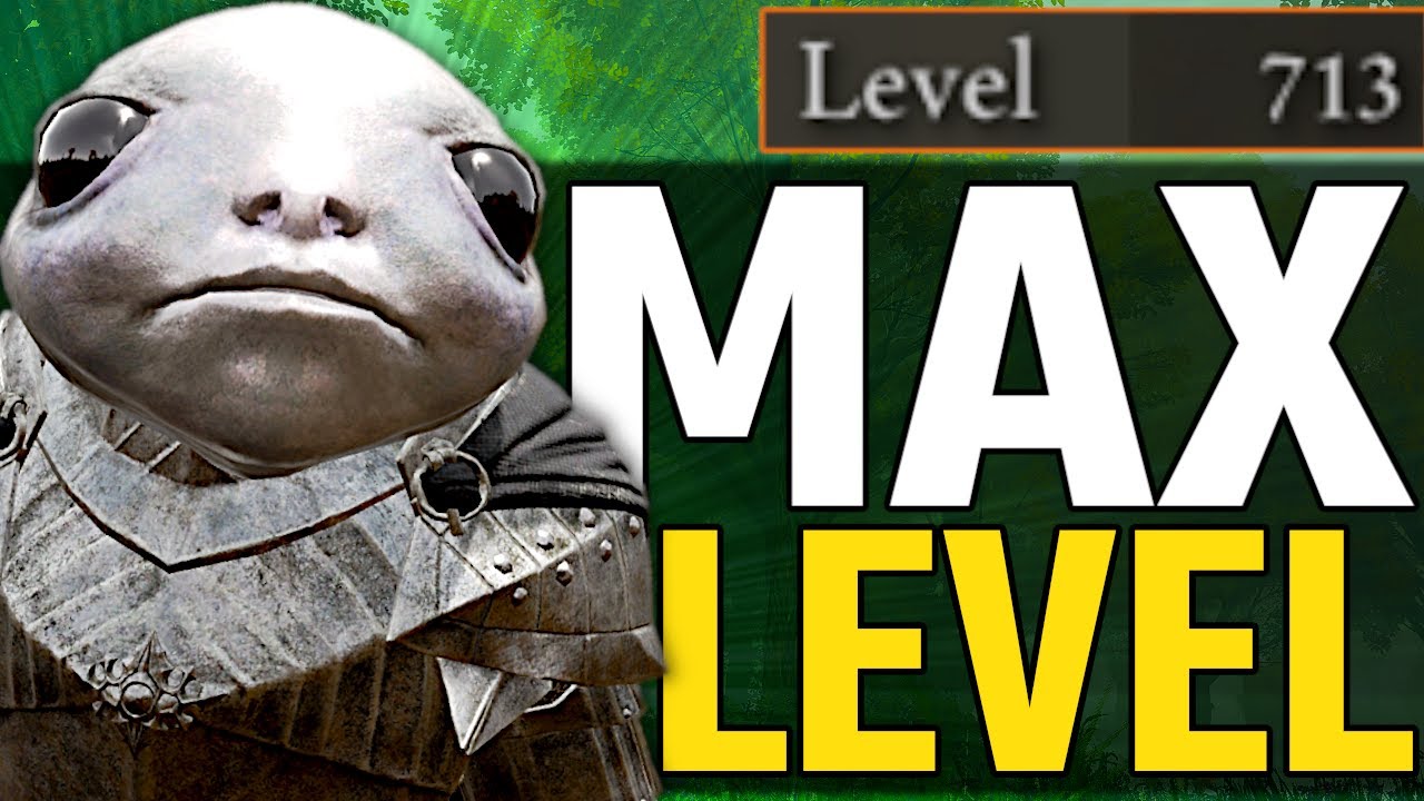I TRIED MAX LEVEL PvP ON SEAMLESS CO-OP SO YOU DON'T HAVE TO | Elden Ring