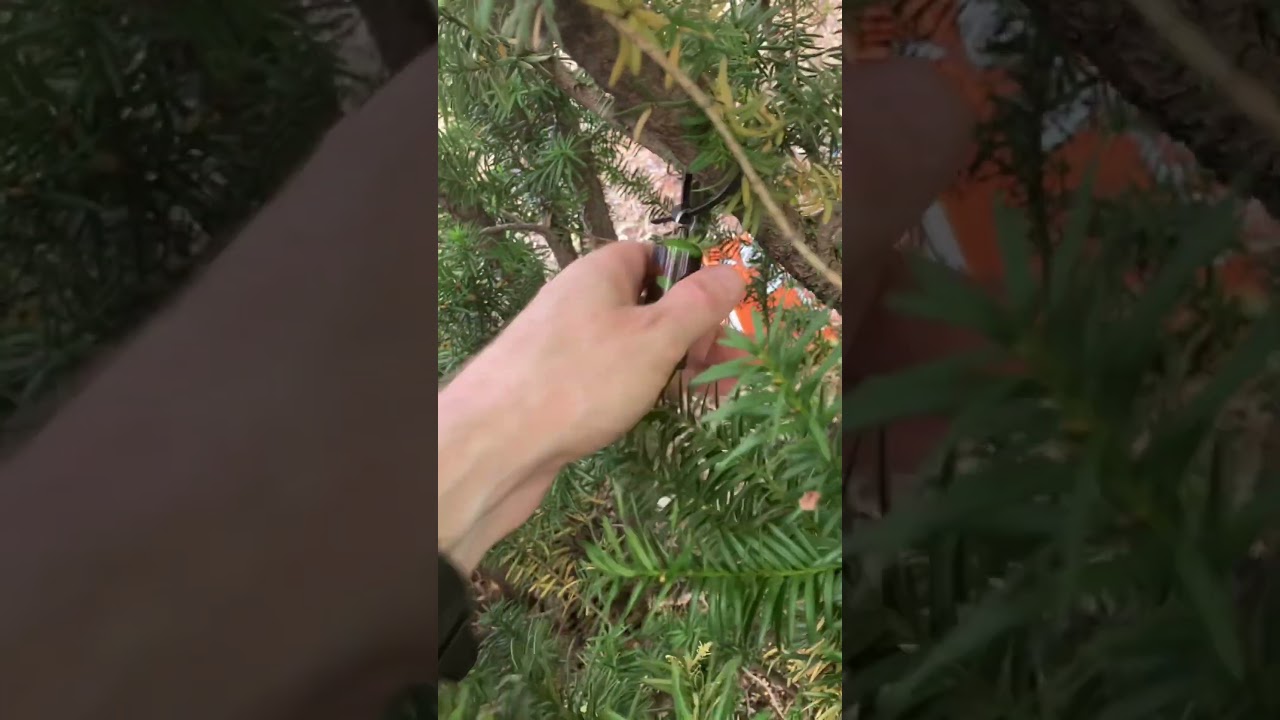 Quick Geocaching find.