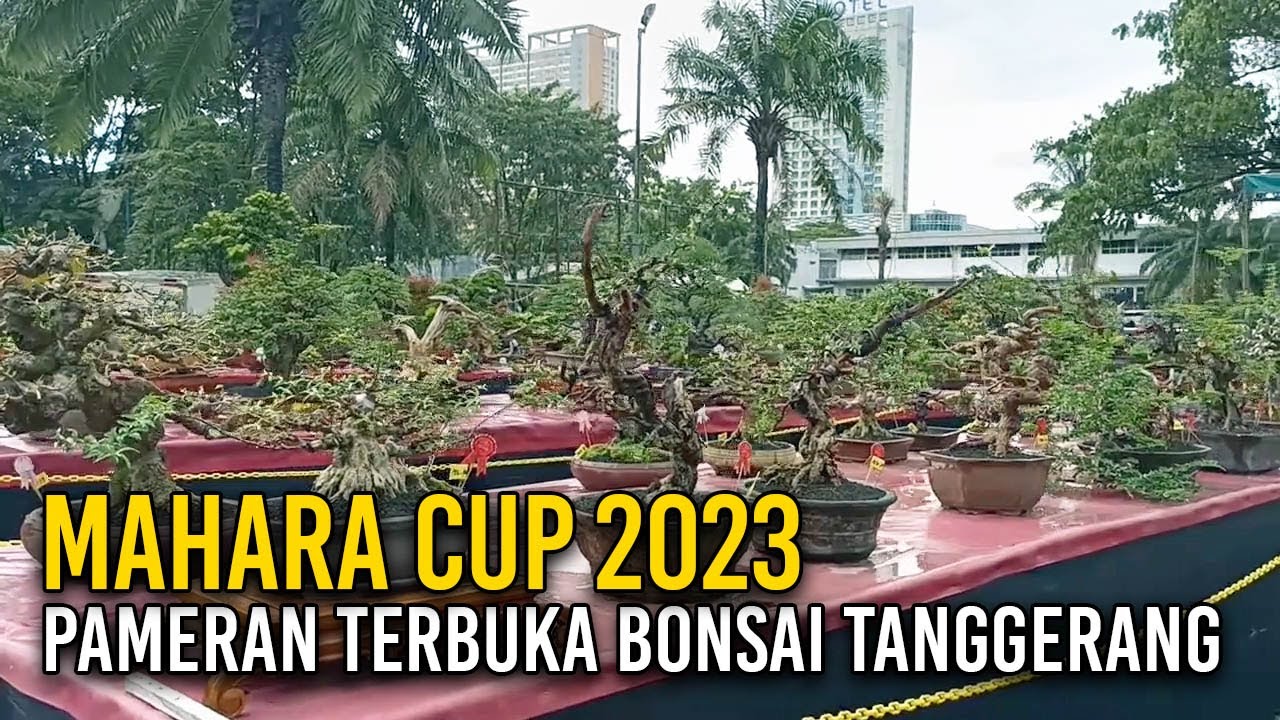 🏆 MAHARA CUP 2023 🌳 PAMERAN TERBUKA BONSAI DAN ADENIUM | PPBI TANGGERANG RAYA