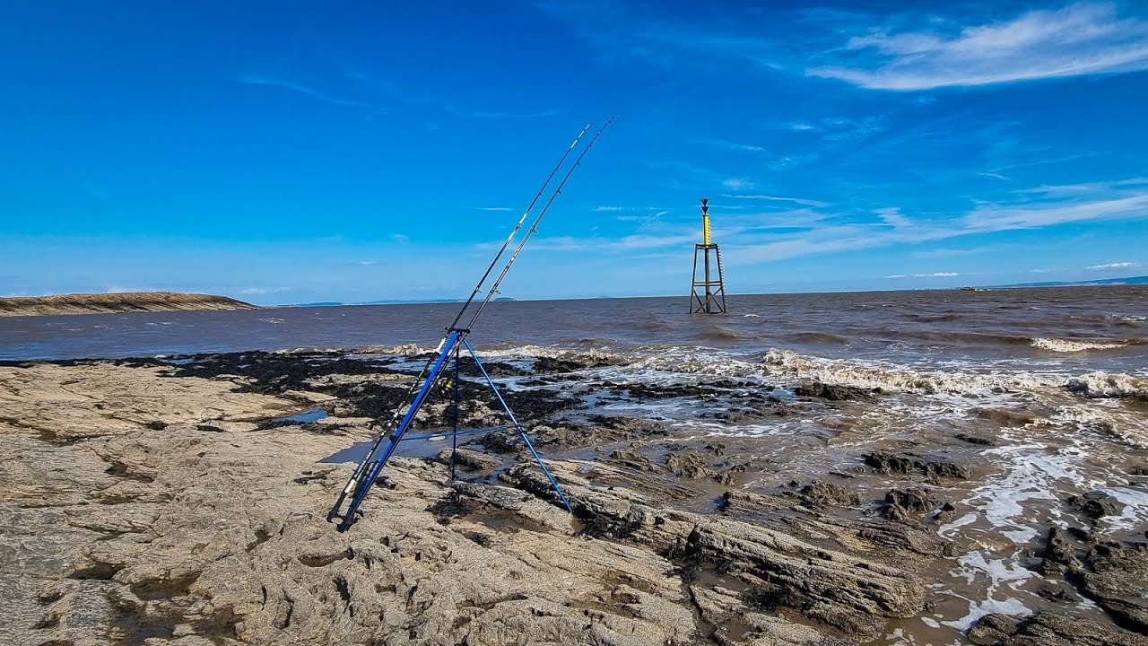 Barry Island Smoothound