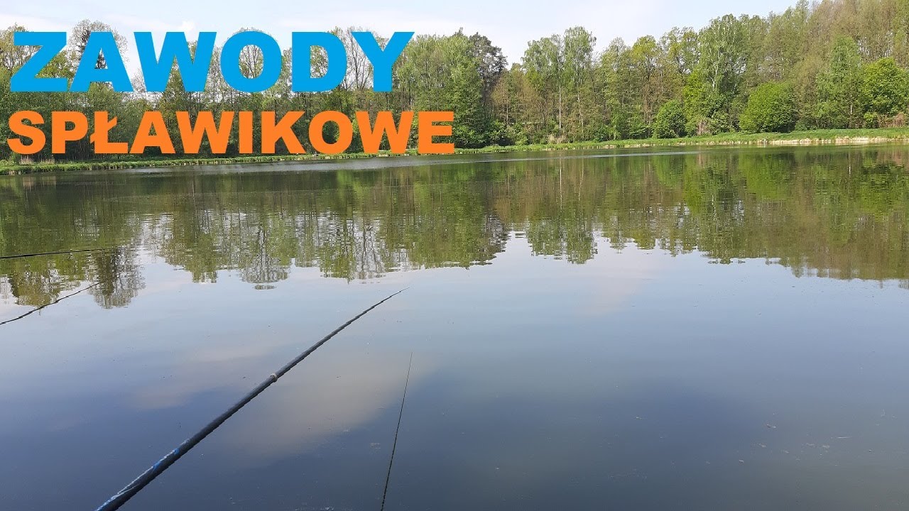 ZAWODY SPŁAWIKOWE 2023r / DUŻE LESZCZE I PIĘKNE LINY Ile ryb złowiłem ?