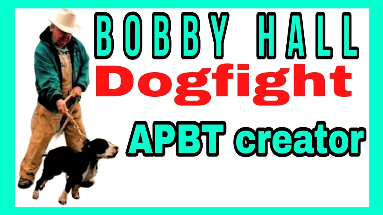 The Fighting Dog Breeder - Bobby Hall - Full Interview ! #Pitbull #apbt #gamedog
