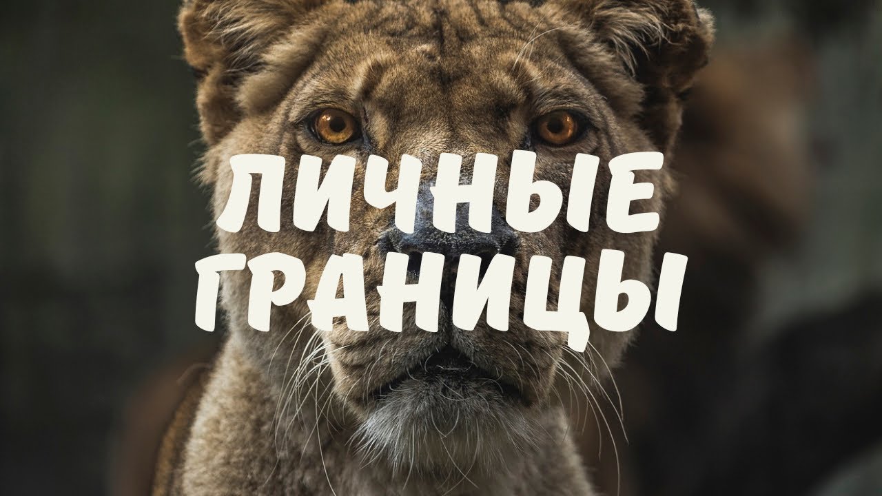 А какие у вас личные границы?