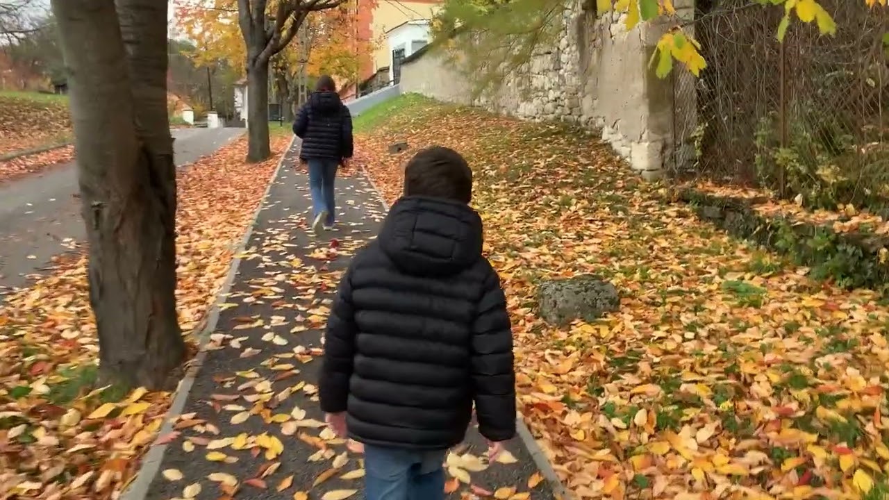 Oszi falevellel tancot jar a szel - Tallya, Magyarorszag