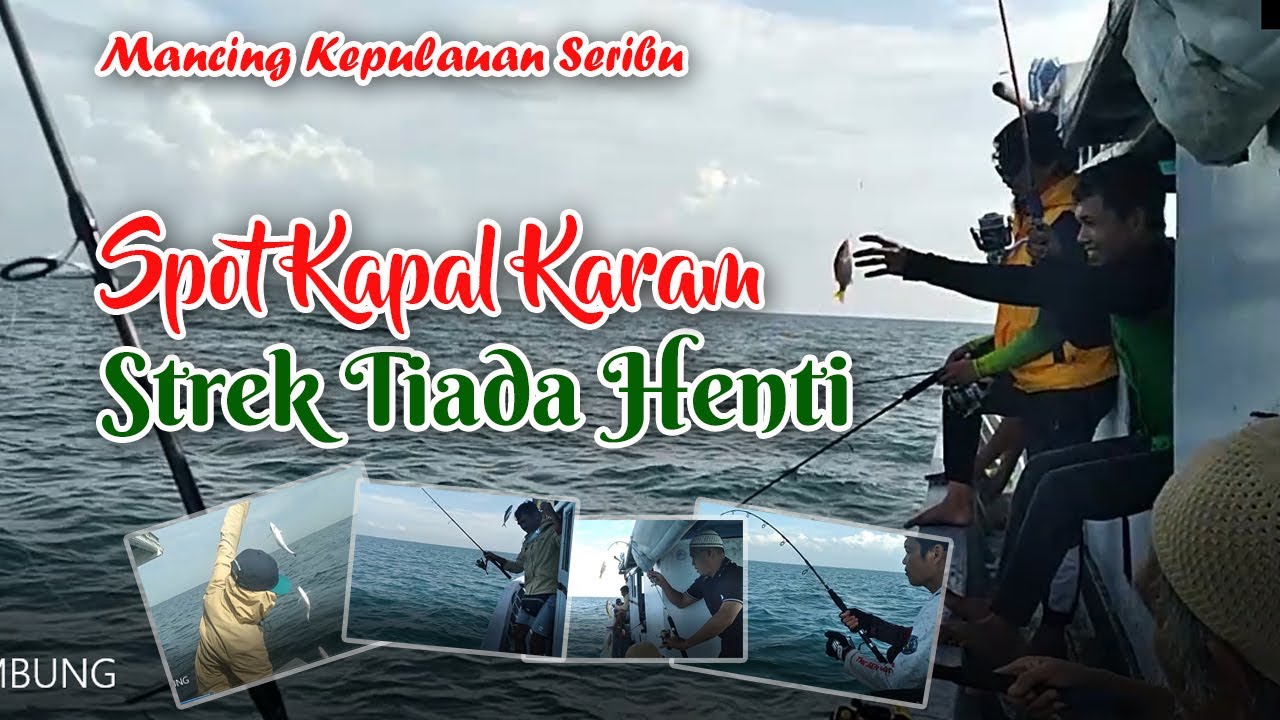 Spot Kapal Karam Strek Tiada Henti panen ikan kembung - Mancing di Kepulauan Seribu
