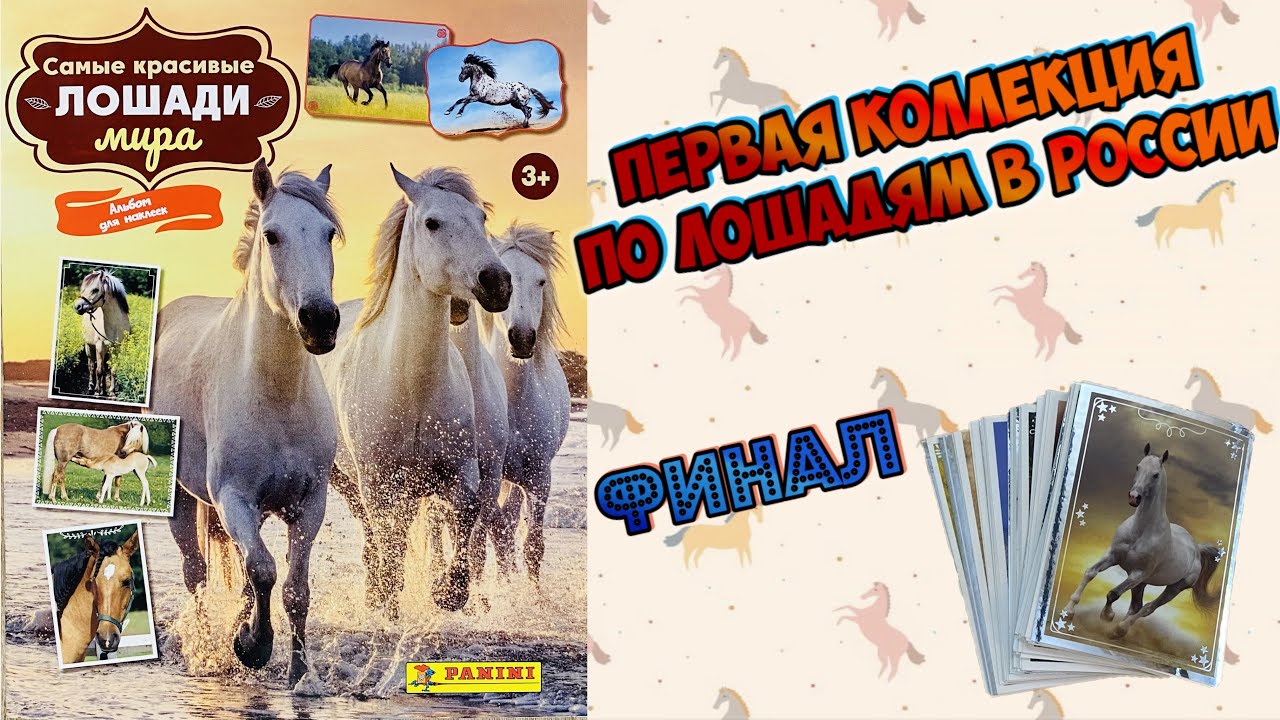 PANINI Альбом 