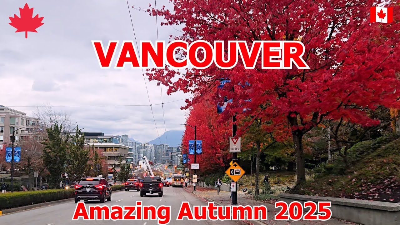 Vancouver Canada 2025 - Fall Foliage 