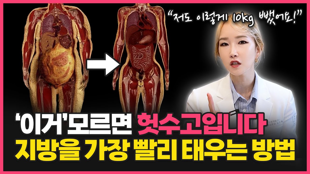 “힘들게 운동 안 해도 된다고!?” 지방을 가장 잘 태우는 과학적인 방법을 알려드립니다!