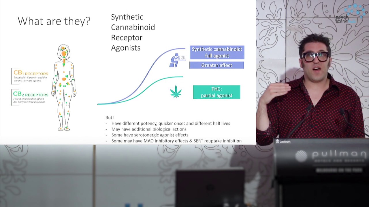 Synthetic Cannabinoids &ndash; Myths Vs Science By Dr Raimondo Bruno