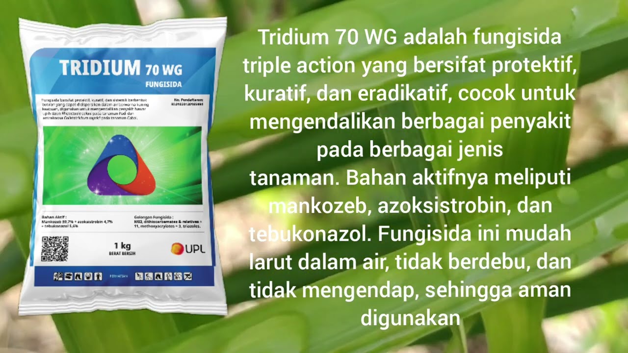 Manfaat Fungisida Tridium 70WG Pada Tanaman