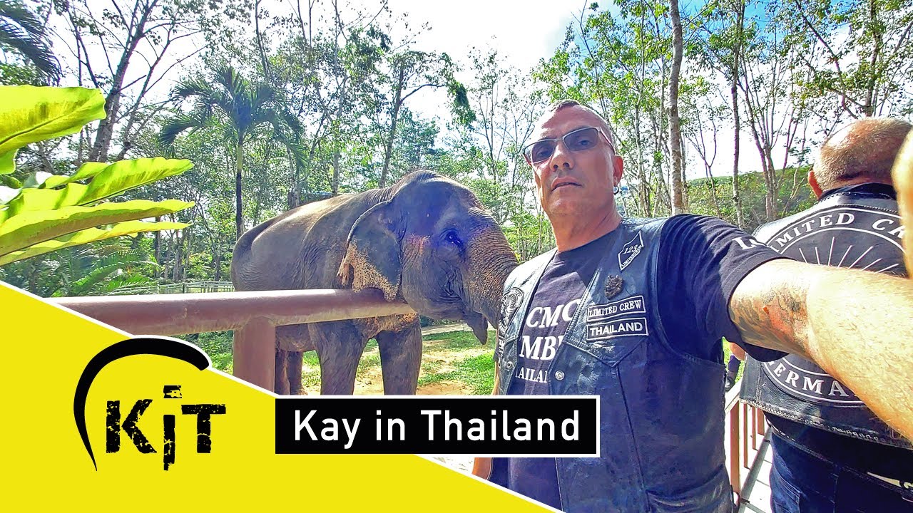 Schutzgebiet für Elefant in Phuket, Thailand 🐘