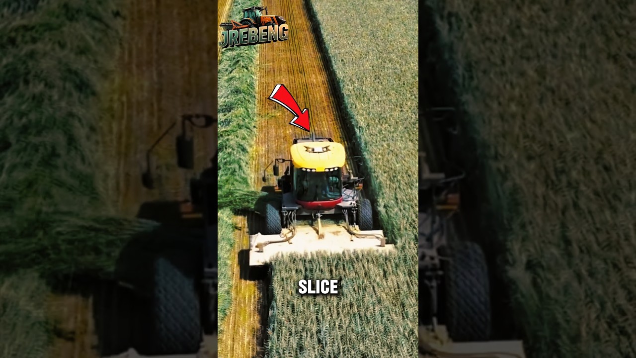 Massive Forage Harvester Cutting Perfect Rows!Ultimate Farm Efficiency#Farming #Harvest #Agriculture