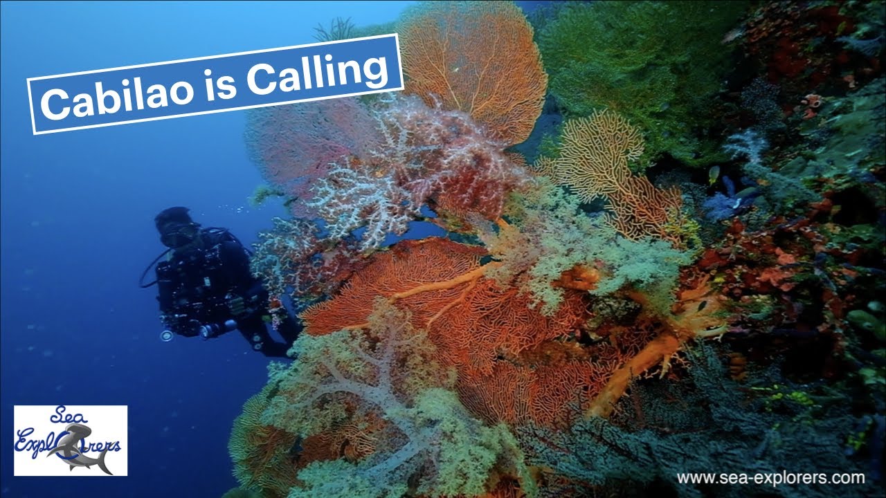 Sea Explorers   Cabilao is Callling 4K