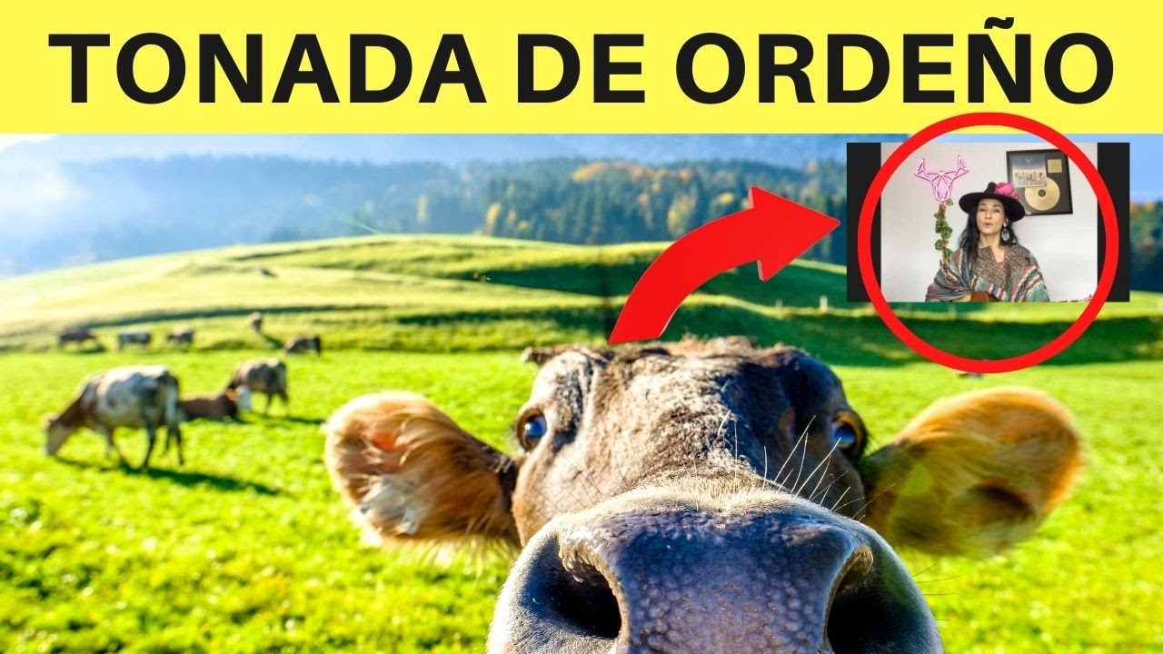 🎵 🎶  ESCUCHA una TONADA de ORDE&Ntilde;O (MUUUUU 🐄 )  👉🏼👉🏼  M&Uacute;SICA LLANERA 🎶🎵  COLOMBIA | CIMARR&Oacute;N 📼