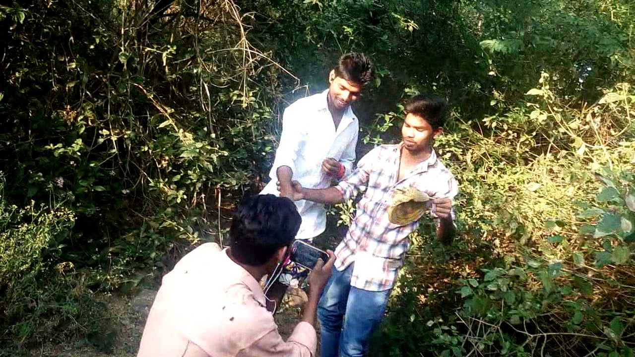 Arvind vasave(2)