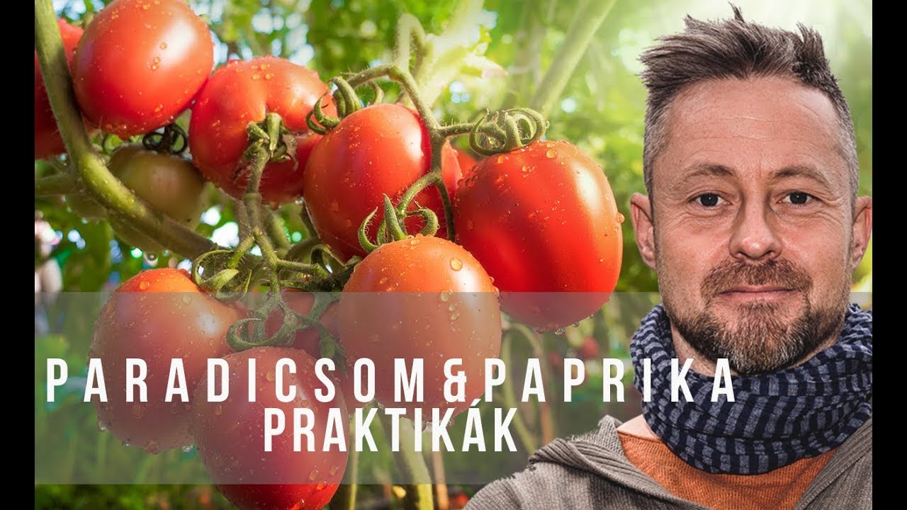 M&aacute;rk paprik&aacute;t & paradicsomot &uuml;ltet