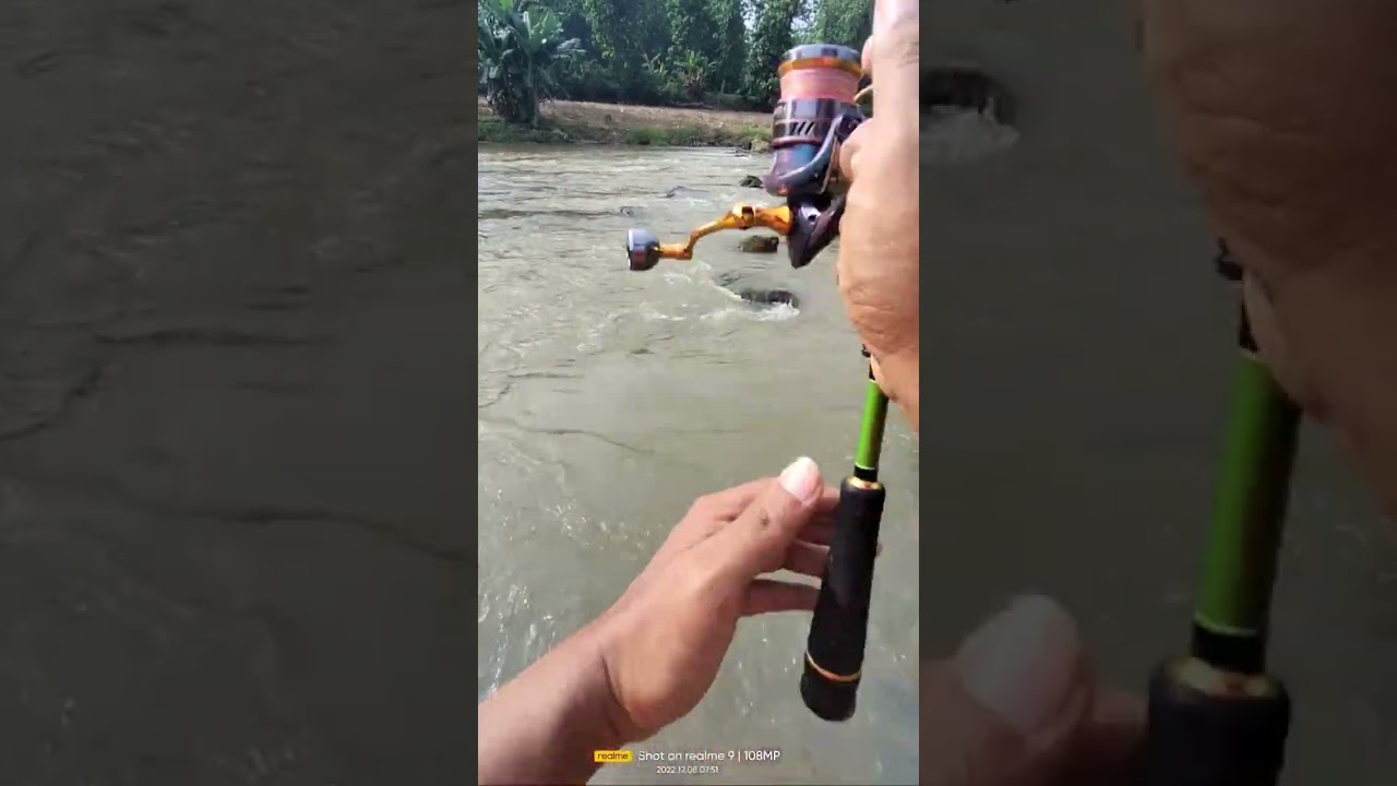minnow air keruh casting hampala.... #shorts #shortvideo #feedshorts