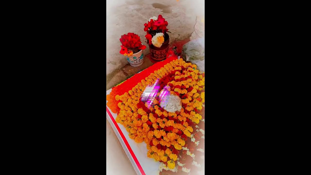 💔📈💯#allvideops_r new viral video my YouTube channel subscribe 🥰 follow 🥰 training 💯📈🔥🚀❌❌#like #love 