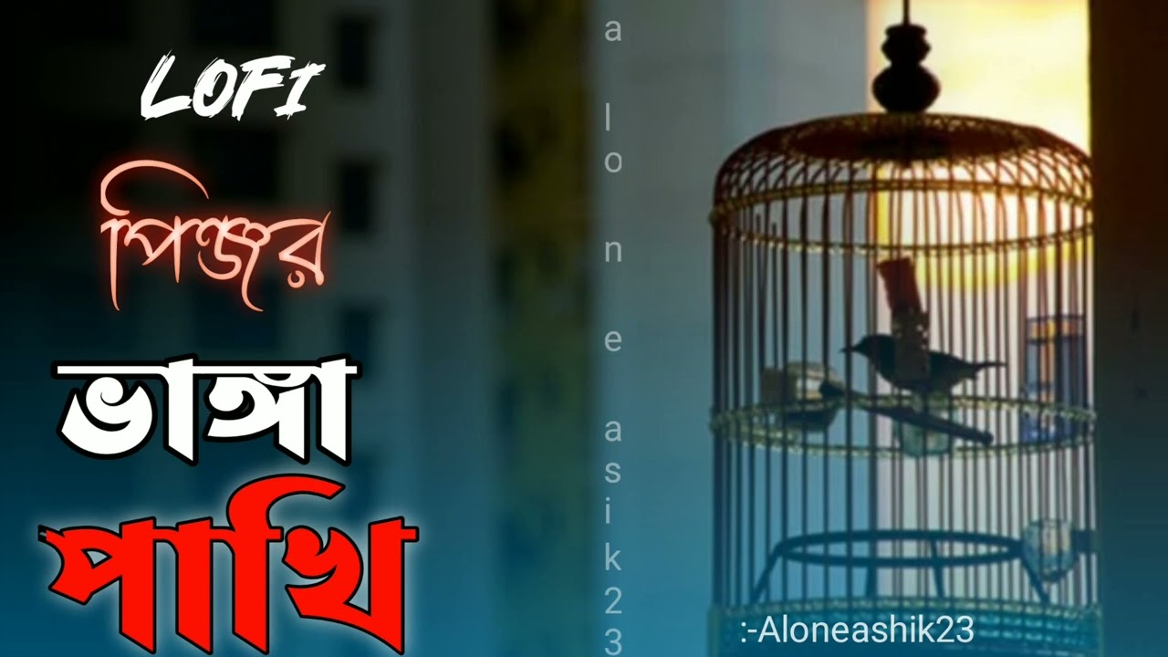 পিঞ্জর ভাঙ্গা পাখি কি আর ফিরে ফিরে আসে Lofi Pinjara bhanga pakhi ki ara phire phire  Aloneashik23