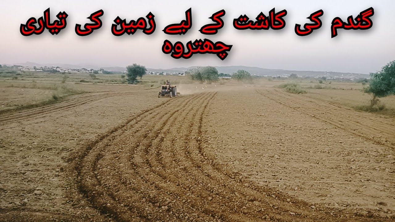 Gandam ki kasht | k liye zameen ki tayari | Preparation of land for wheat cultivation #Cattroh