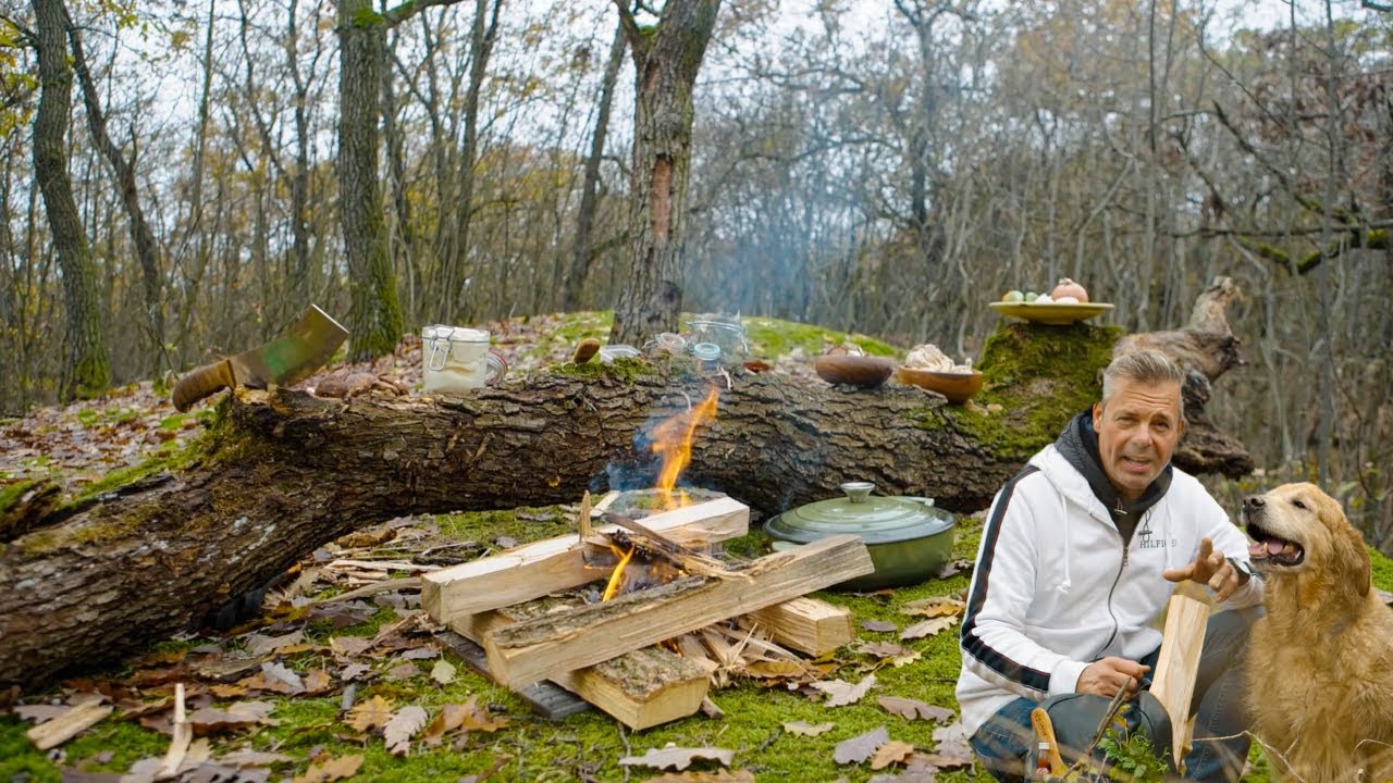 Грибное рагу