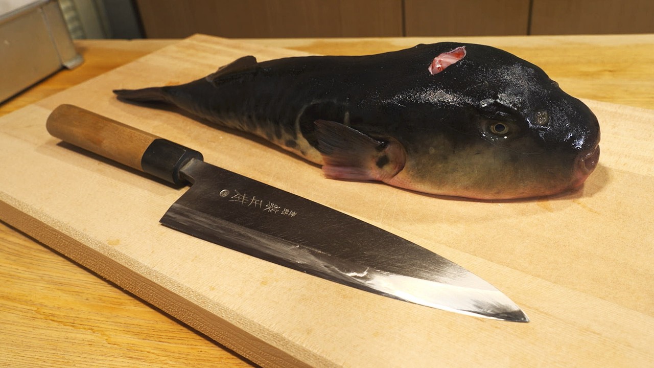 How to handle live tiger puffer fish (venomous) Tokyo Ginza 